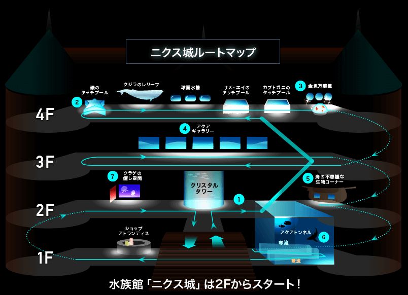 登別マリンパークニクスの割引クーポン！最大450円安く入園する方法！