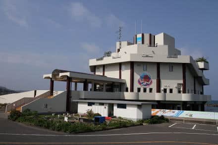 寺泊水族博物館の割引券やクーポンを使ってお得に楽しむ方法！