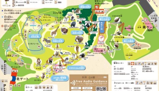 到津（いとうづ）の森公園の割引券やクーポンを使ってお得に楽しむ方法！