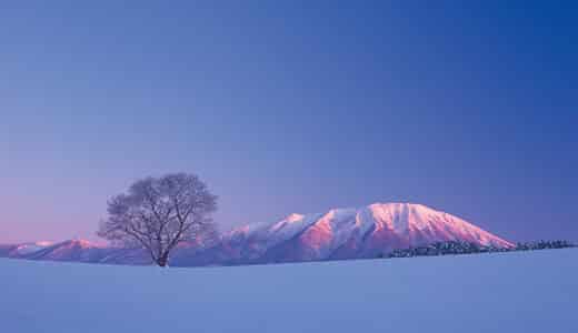 小岩井農場の割引券やクーポンを使ってお得に楽しむ方法！